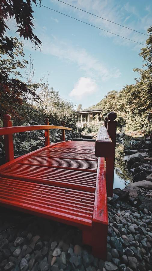 The Ruin Luxury B&B 福克兰 外观 照片